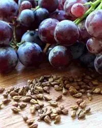 grapeseed